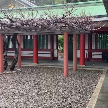 日枝神社 藤棚のundefinedに実際訪問訪問したユーザーunknownさんが新しく投稿した新着口コミの写真