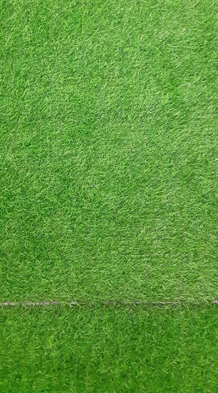 Green Lounge