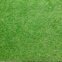 Green Lounge