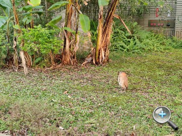 IMG20200314171937.jpg IMG20200314171937.jpg