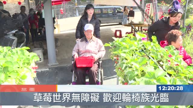 歡迎輪椅族光臨大湖草莓世界無障礙 大愛新聞 Line Today