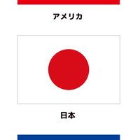 国旗同好会