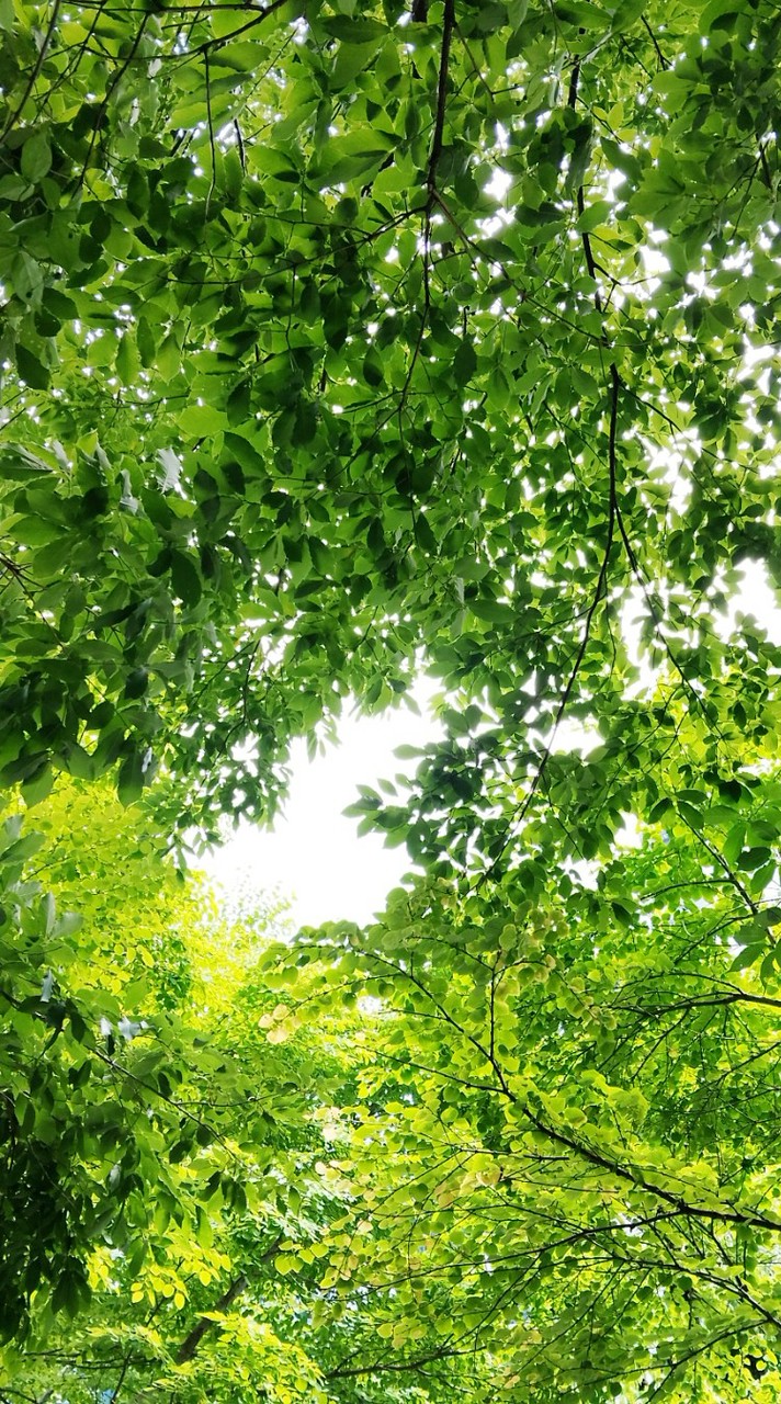 🌻日常感じる事をシェアする部屋皆さまの幸せの為に🩷ツインレイ話も有り