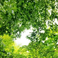 🌻日常感じる事をシェアする部屋皆さまの幸せの為に🩷ツインレイ話も有り