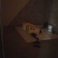 保全爆料公社