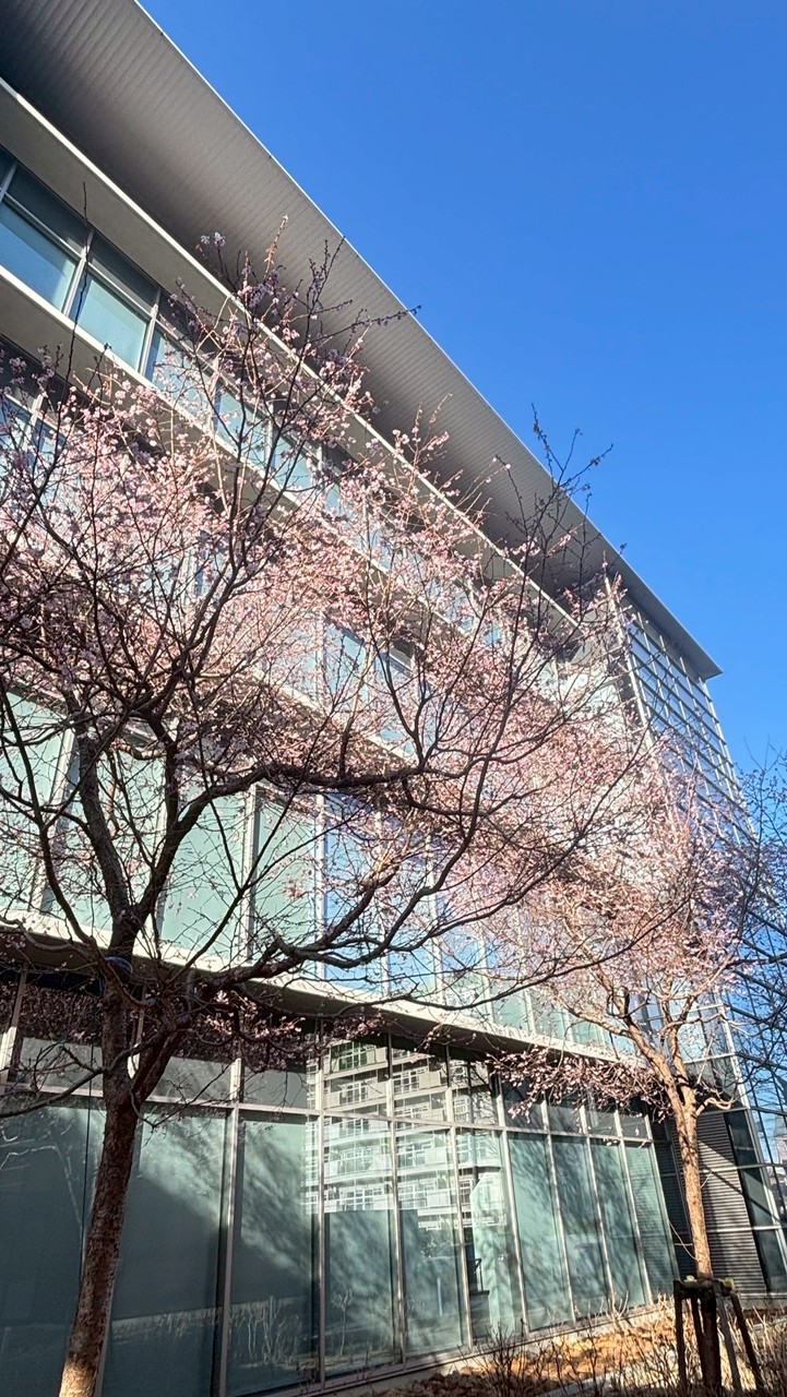 愛知学院大学 商学部の集まり