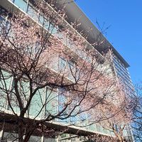 愛知学院大学 商学部の集まり