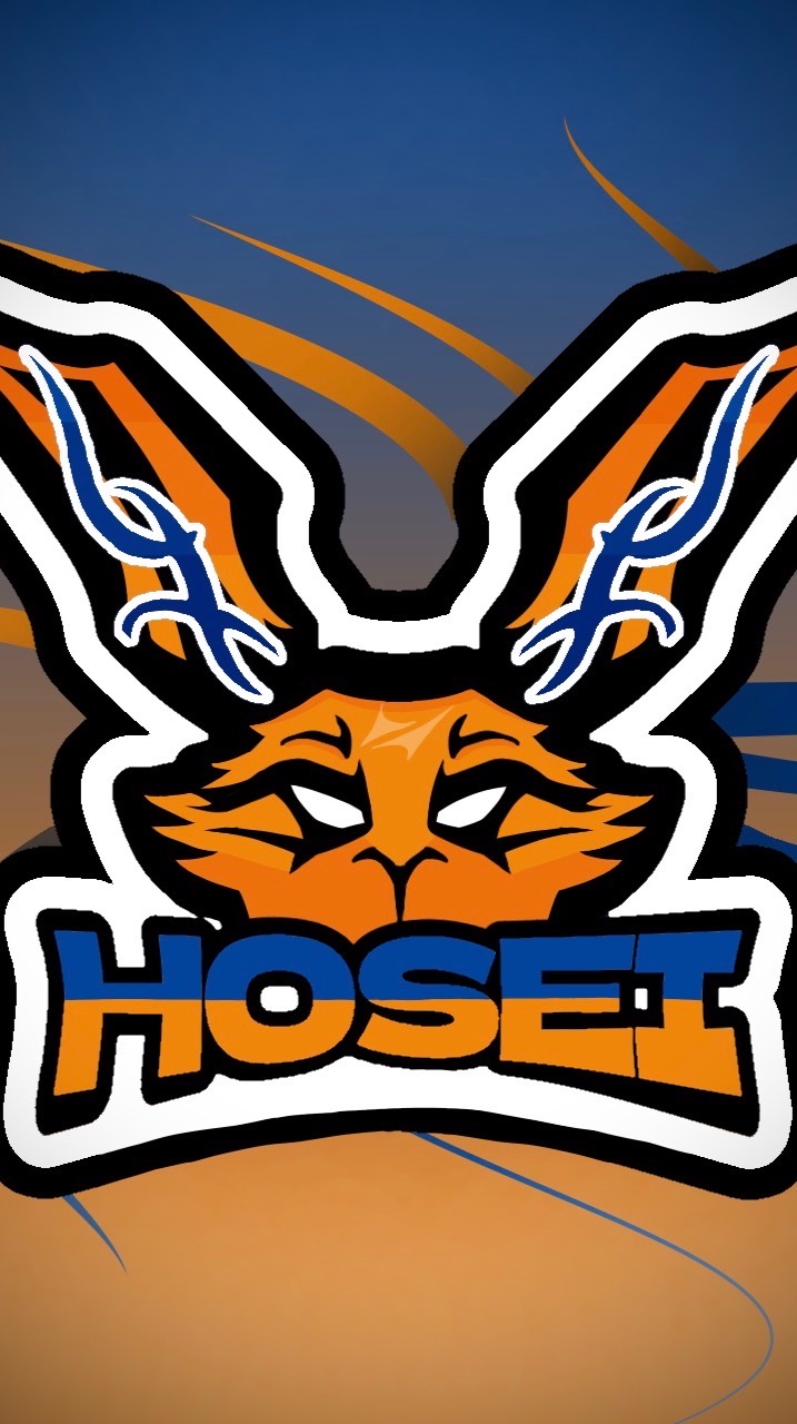 法政大学eSportsサークルHopiiGaming 2025年度新歓グループ