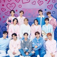 SEVENTEEN💎40↑大人Carat会