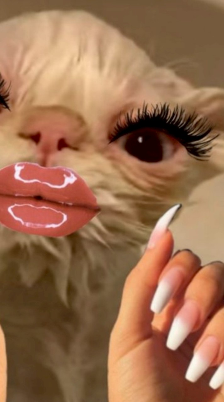 คนเริสคนปังกะละมังหม้อ