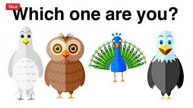 Tes Kepribadian Burung Apa Yang Kamu Suka Kepribadian Aslimu