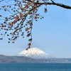心旅X優惠機票、旅遊優惠資訊整理
