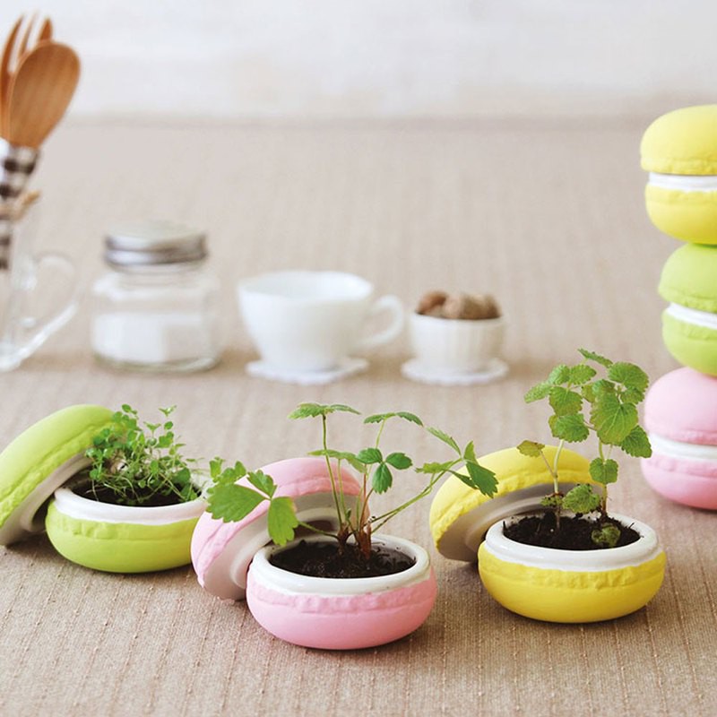 Sweet Garden - Macaroon 馬卡龍甜點栽培盆器 / 單個