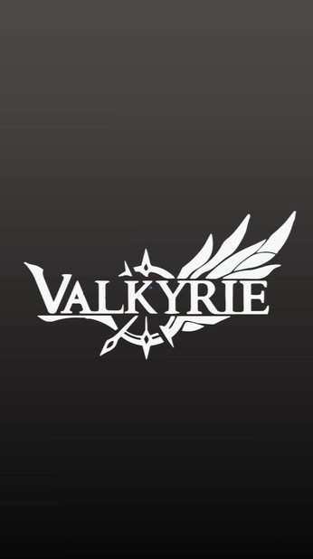 VK瓦爾基里 Valkyrie Taiwan｜極致散熱 × 電競風格｜大陸頂尖銷售品牌進駐台灣