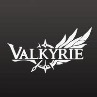 VK瓦爾基里 Valkyrie Taiwan｜極致散熱 × 電競風格｜大陸頂尖銷售品牌進駐台灣