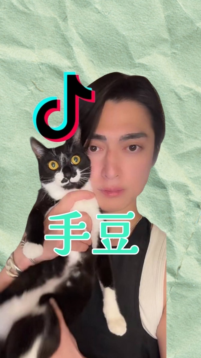 手豆🐈‍⬛🐈‍⬛※サブスク限定※【TikTok・Instagram】
