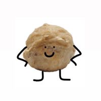新竹貢丸幫