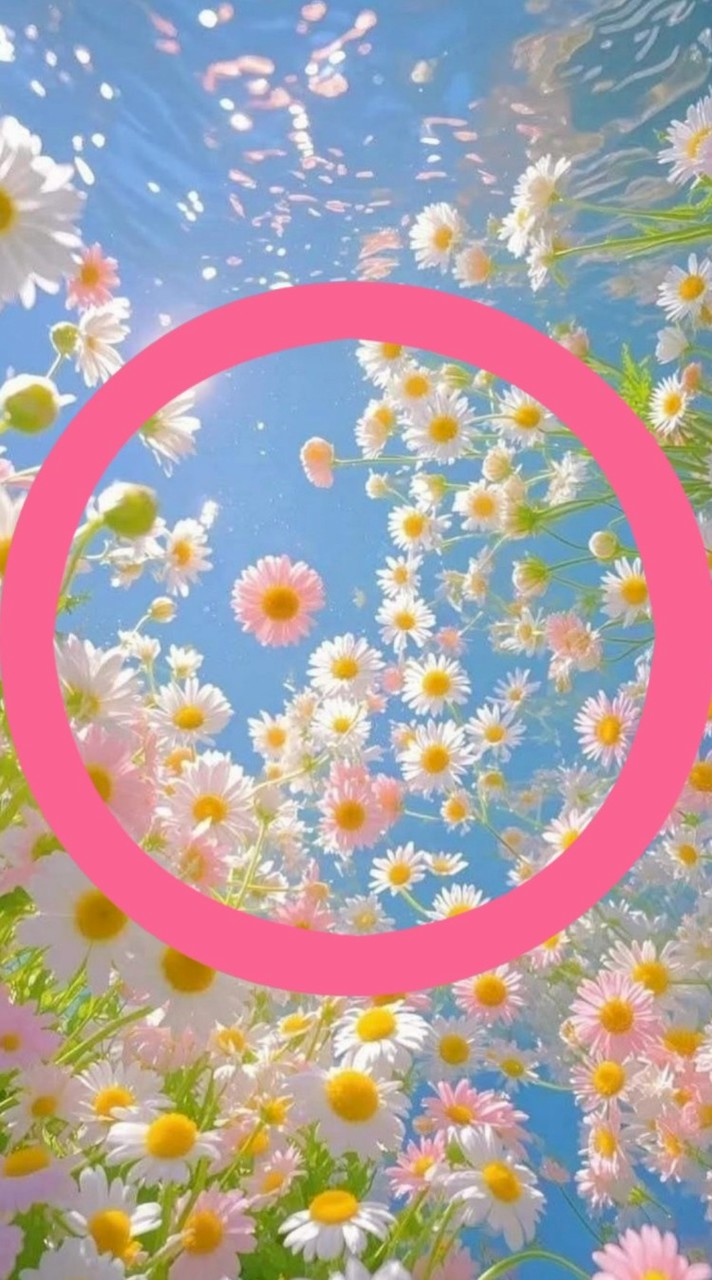 🌸楽しく話そ🌸今日のご飯はなぁに❓