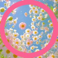 🌸楽しく話そ🌸今日のご飯はなぁに❓