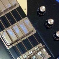 ベーシスト/Basist