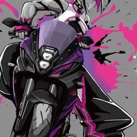 🏍³₃【埼玉中心】ライダーさん(バイク)集まれ🏍³₃