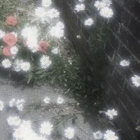 8月底 韓國連線代購♡゛