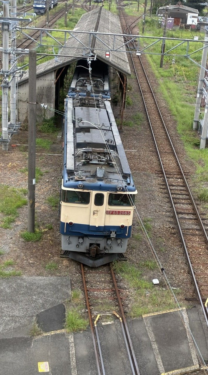 【NST】鉄道ファンカモーン！