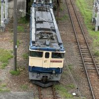 【NST】鉄道ファンカモーン！