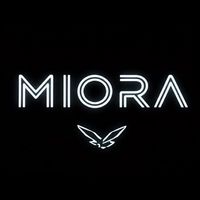 Miora匹克球北部揪團區