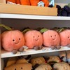 Jellycat加拿大🇨🇦購｜jazzyfog2025
