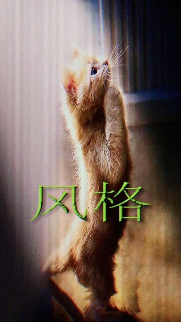คุยเล่น หาทุกอย่าง ⋆˚꩜｡