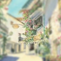松井ゼミ