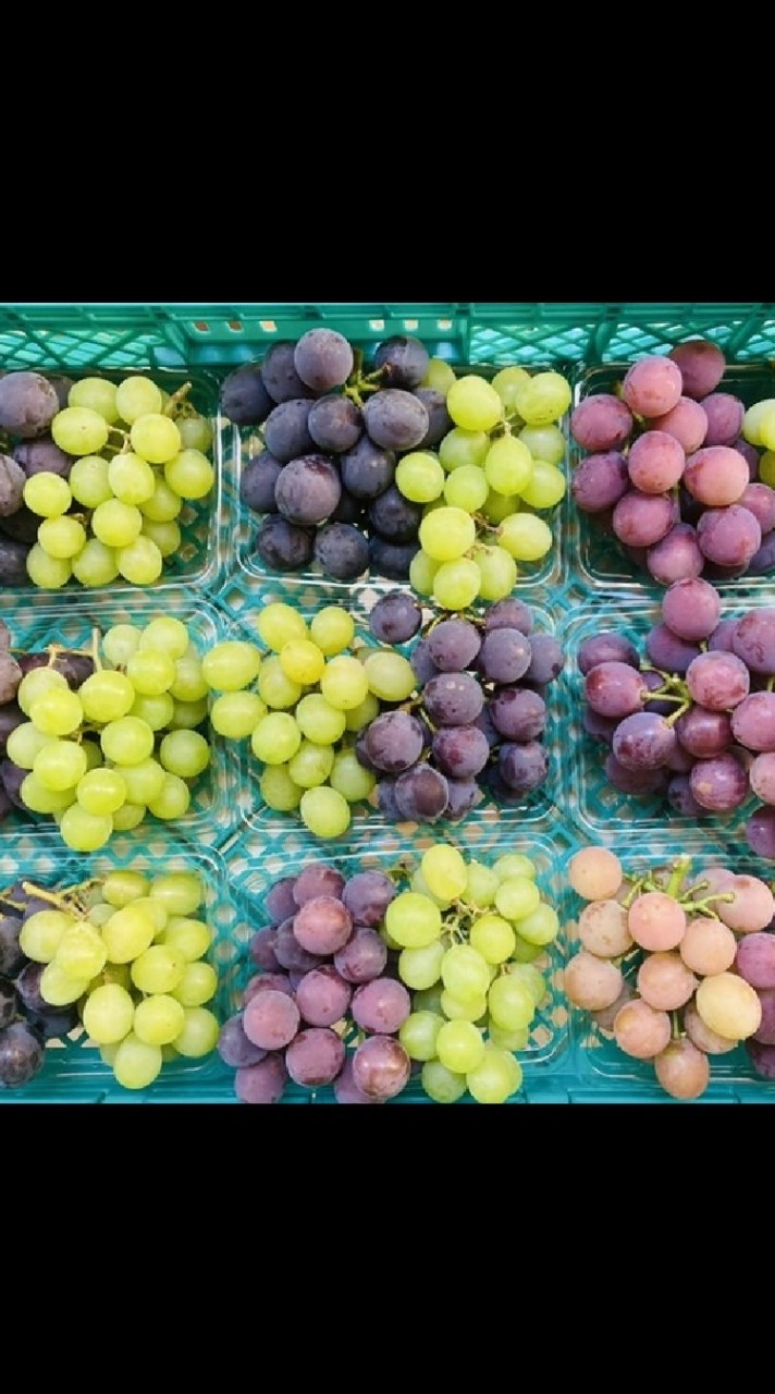 奈良県🌱農業について色々語ろう🎵