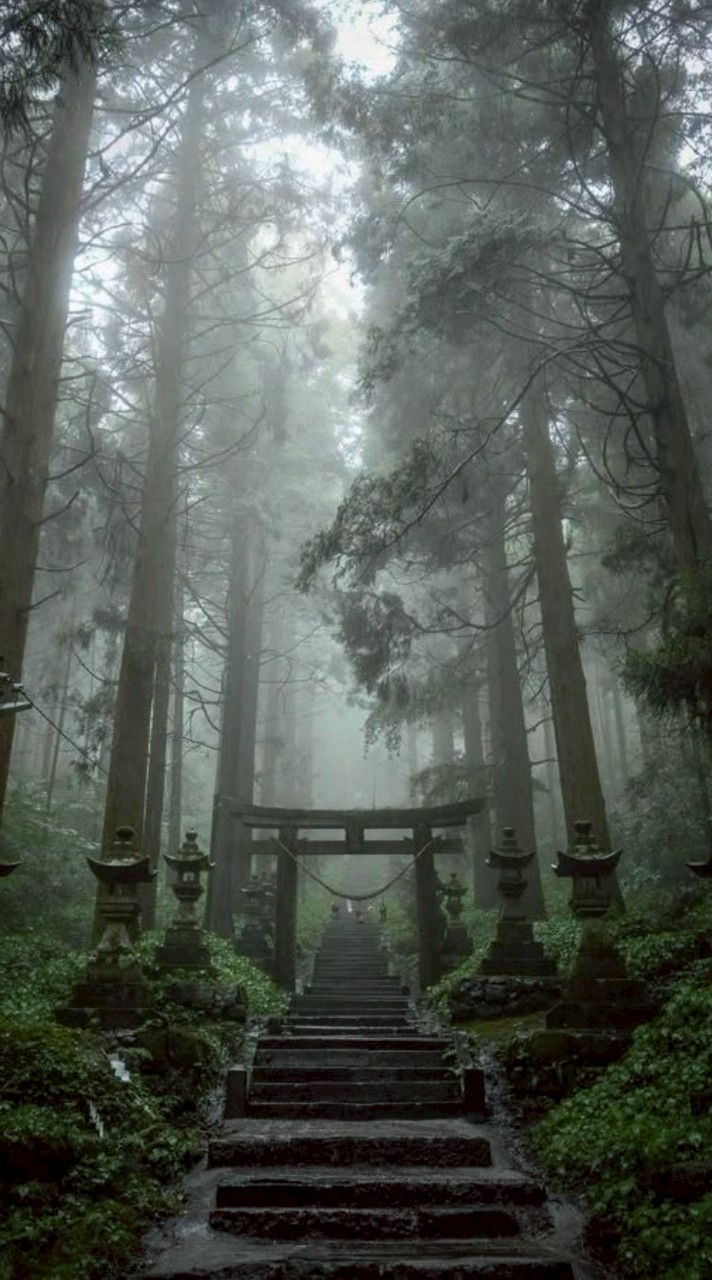 • ||        ❀༻โทโยกาวะ༺❀   ||•