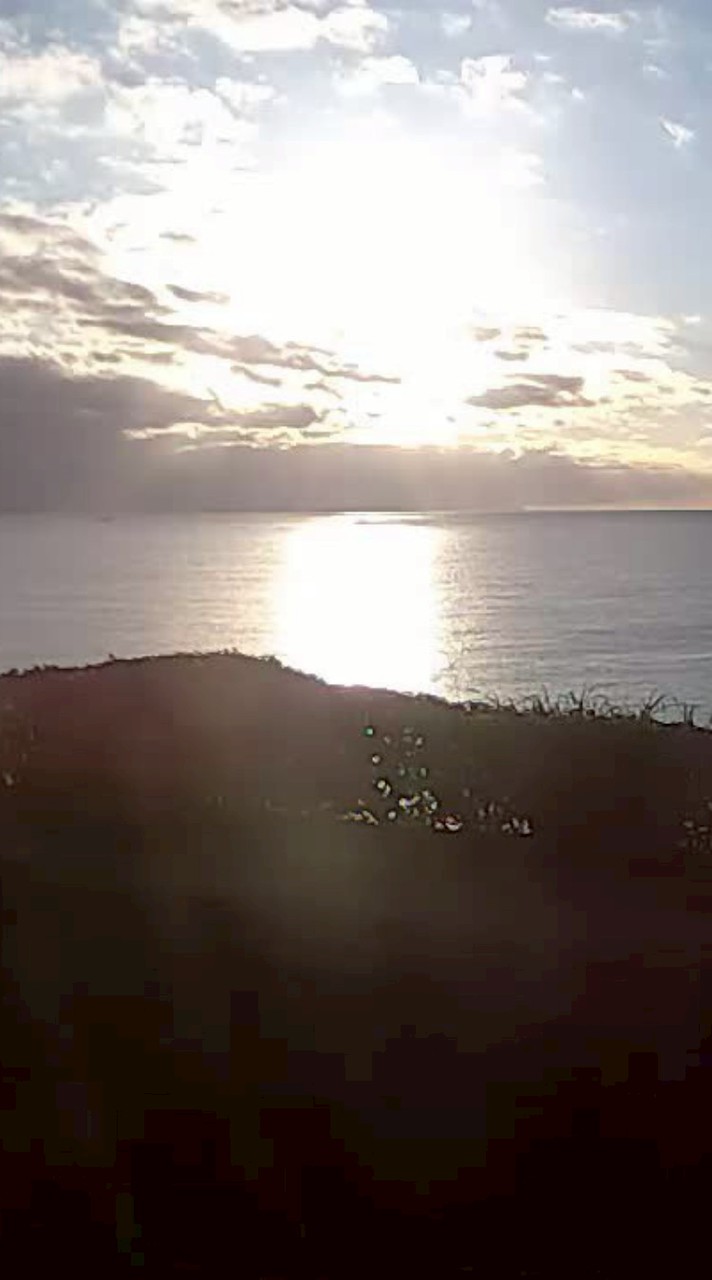 Allan生活聊聊趣