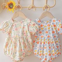 สินค้าพร้อมส่ง Annshop