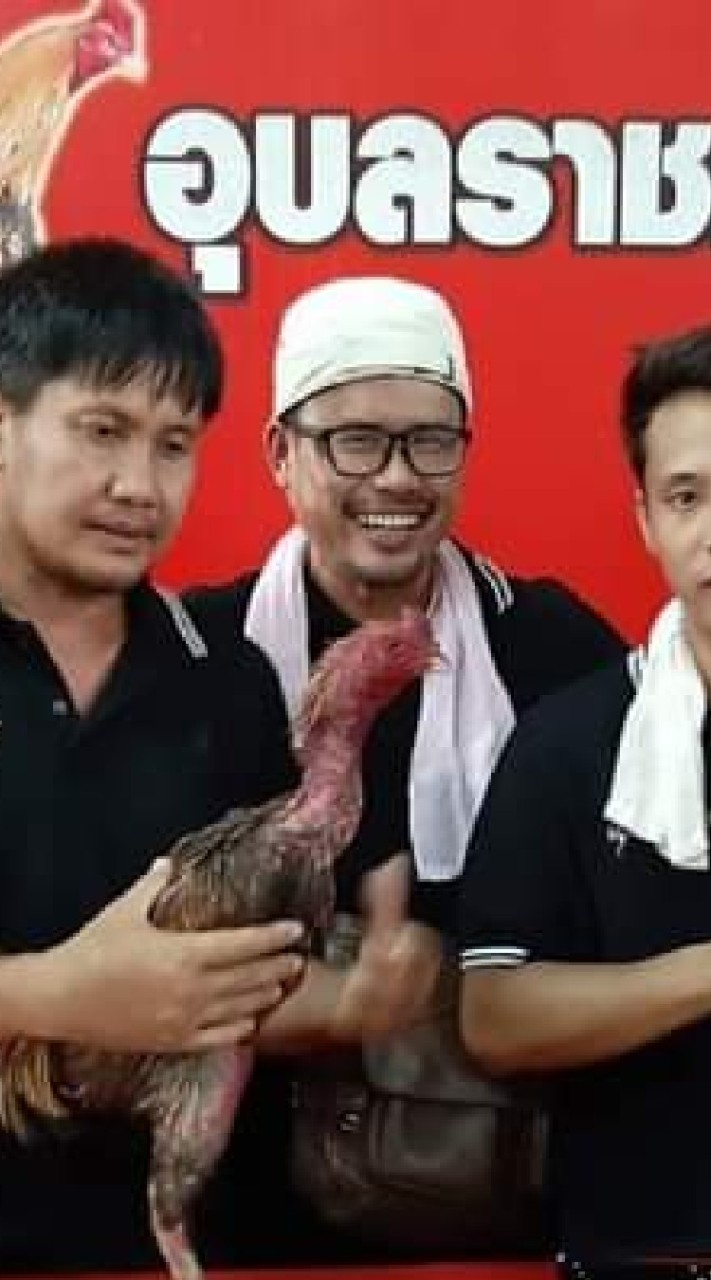 ซื้อขายไก่ชนมิตรภาพ (บ้านทนายฟาร์ม)