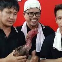 ซื้อขายไก่ชนมิตรภาพ (บ้านทนายฟาร์ม)