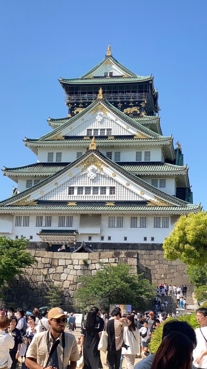胖貓日本代購