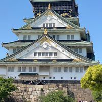 胖貓日本代購