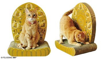 膜拜吧！鏟屎官~日本Felissimo推出「佛系貓咪打坐椅」！超顯主子威猛氣勢，快來成為「貓咪教」的信徒吧！