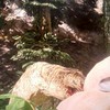 The isle ザ アイルをしている人の集まり