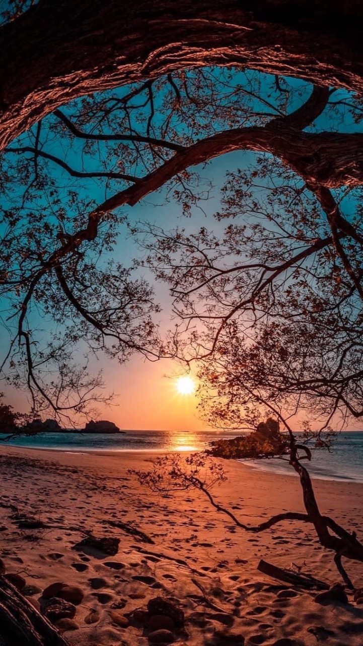 ❣️復健結合芳香團隊💞學習行動群❣️～💎失智/長照/情緒/兒童身心健康💎