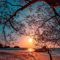 ❣️復健結合芳香團隊💞學習行動群❣️～💎失智/長照/情緒/兒童身心健康💎