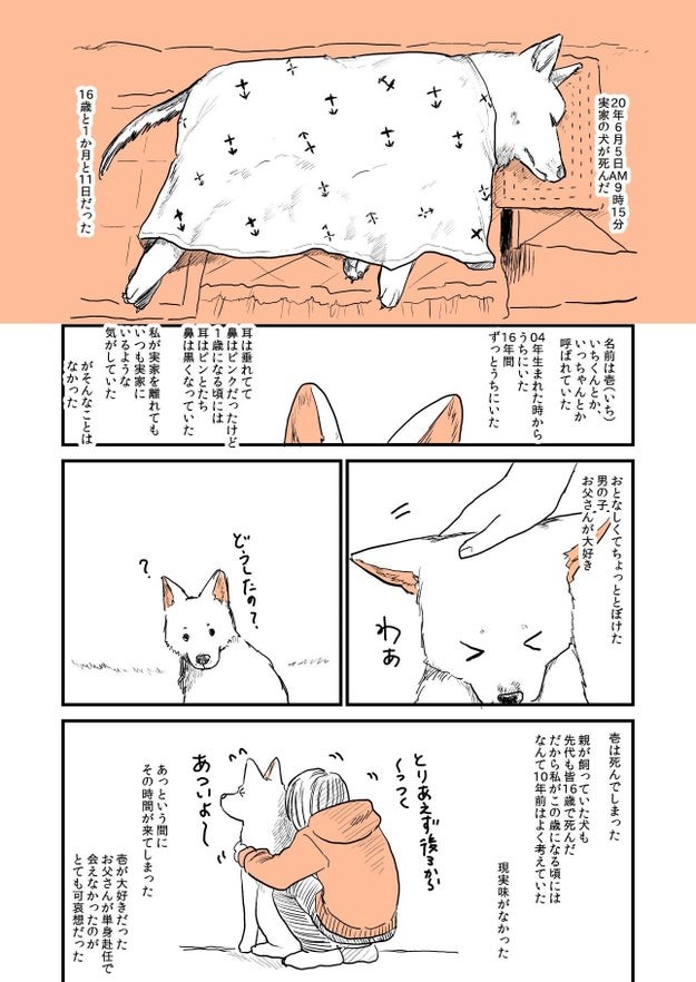 バイバイ 16年間ありがとう 亡くなった愛犬との思い出を描いた漫画に涙腺がゆるむ