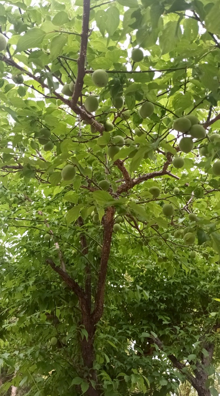 毅弘健康生活館