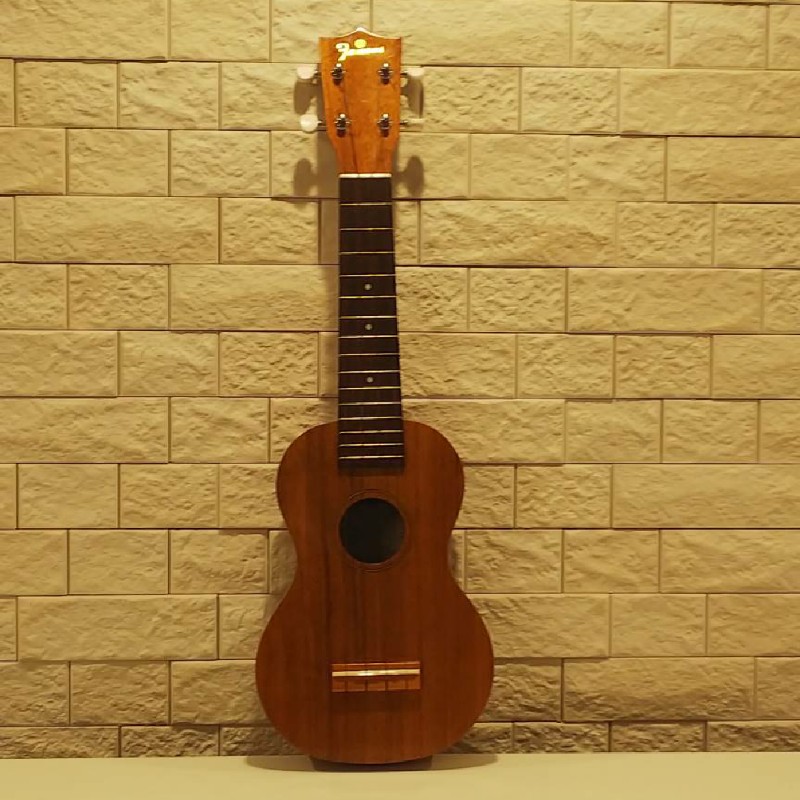 Ukulele Playing Movie