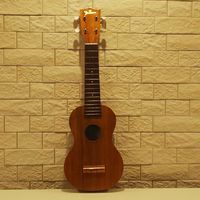 Ukulele Playing Movie