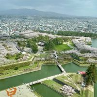 一個人的武林2026