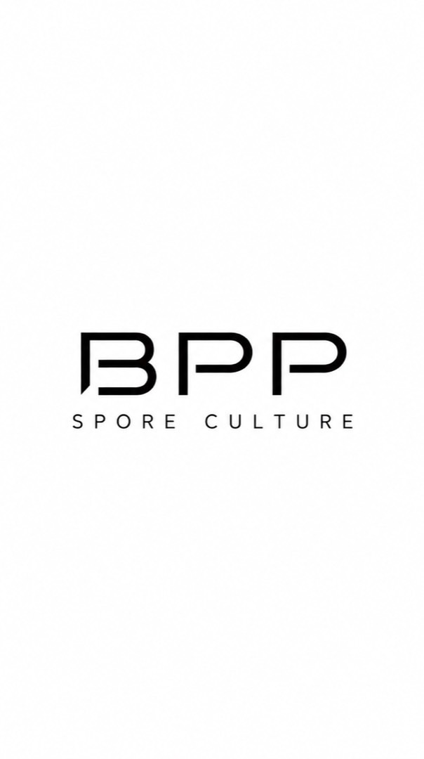 ビカクシダ胞子培養｜BPP SPORE CULTURE 🌿